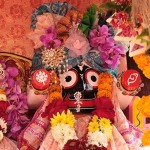 ISKCON Indonesia Rathyatra (7)