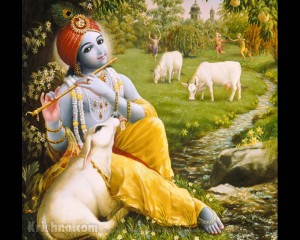 Krishna plays flute with the cows