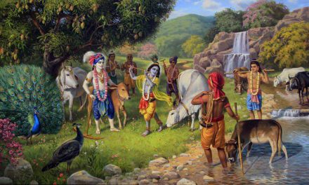 भगवान कृष्ण और भगवान विष्णु में क्या अंतर है ?